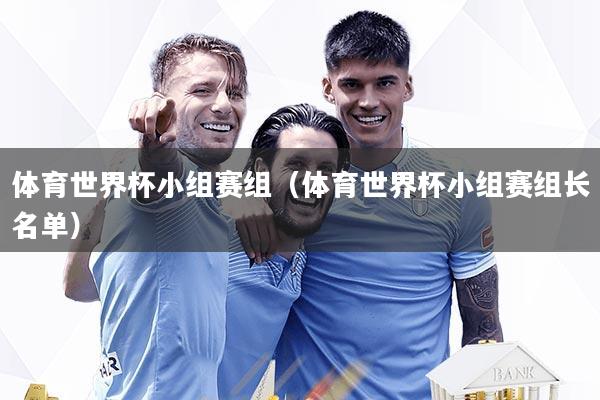 体育世界杯小组赛组（体育世界杯小组赛组长名单）