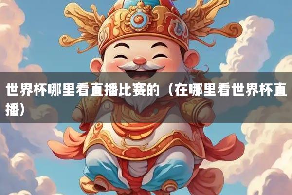 世界杯哪里看直播比赛的（在哪里看世界杯直播）