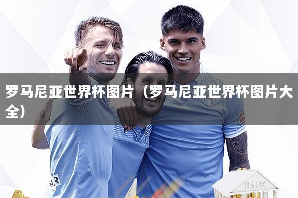 罗马尼亚世界杯图片（罗马尼亚世界杯图片大全）